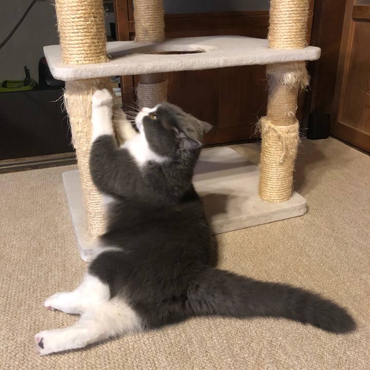 Dea40073 b00b 4f87 a72b 9d36857aae84 1559729128147