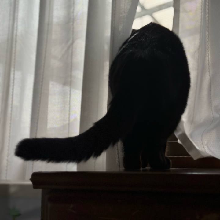 Dea411ce b28a 4b29 a2aa 003ecfcc5aab 1670206347372