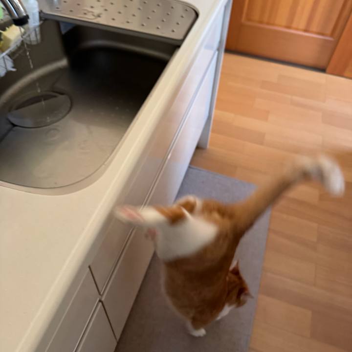 Dea42064 256a 4d25 96e9 052e675dc042 1765591552132