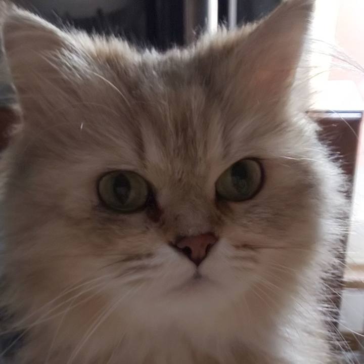 Dea4291e 2dc0 4c38 b492 78fff669375e 1622503809198