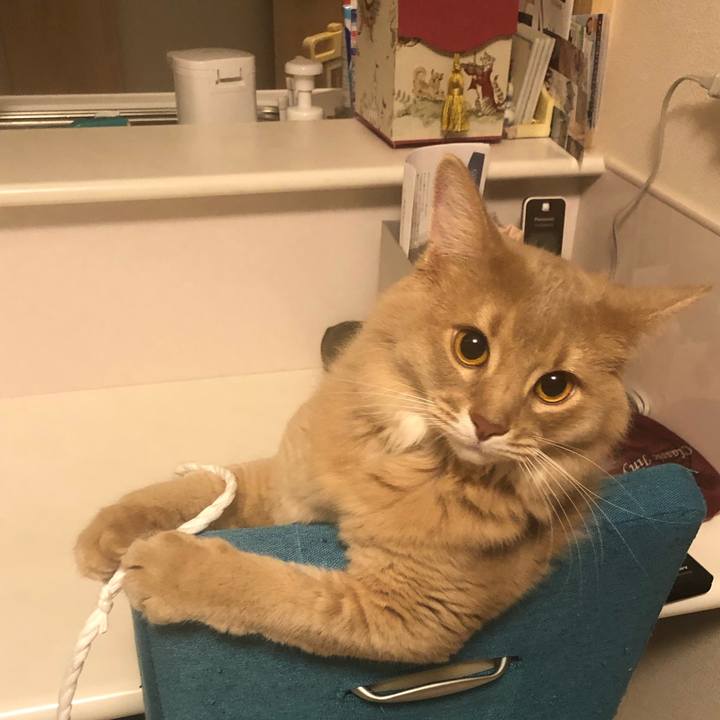 Dea44783 161a 4697 b73c 67560450b110 1565078969917