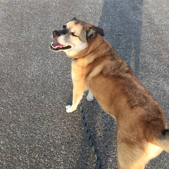 Dea44b6e 7876 464c a317 ee1a165a8d3b 1539509862925