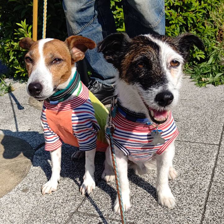 Dea48721 b46f 480f 85be 7a4080c73b1b 1718320424321