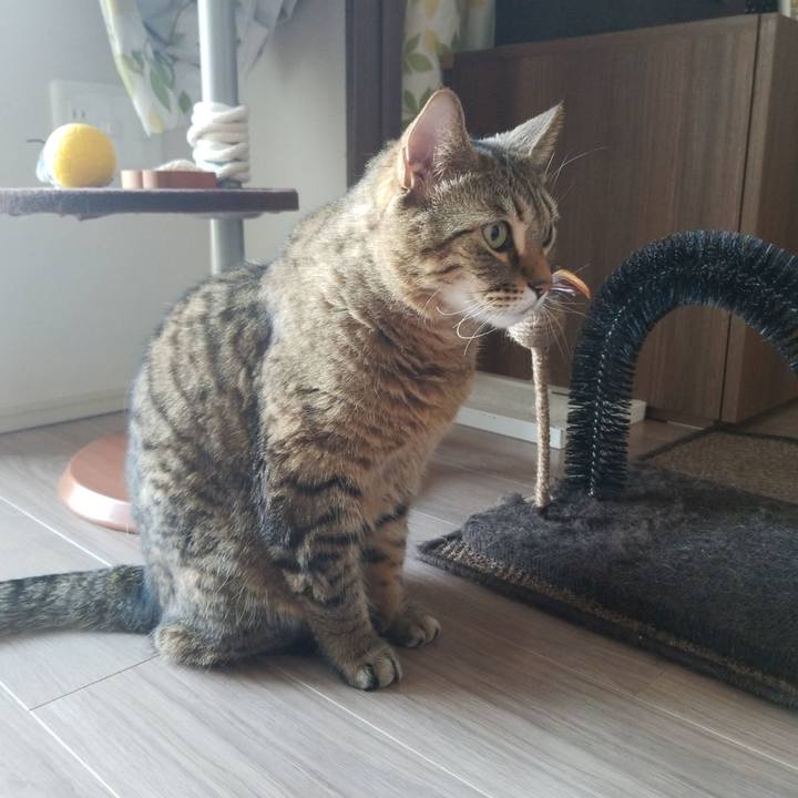 Dea4a2b8 4a83 4c2f a735 3f80d157c8fd 1553383006222