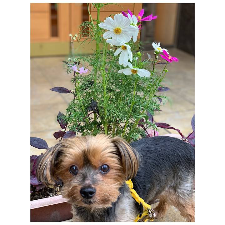 Dea4b687 0d3f 4a57 aa4b 196961b2619e 1632881715473