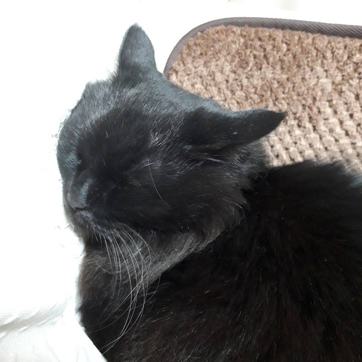 Dea4b8ef c181 4546 bac8 63739aae073b 1519156348620