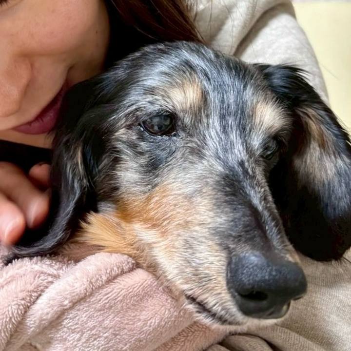 Dea4c0b7 5b40 48ee b1dd 2823838650d6 1773484150714