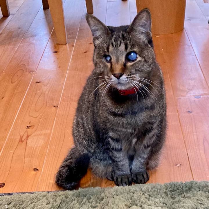 Dea50373 daa9 4d35 88d2 f3c6ade5d4d2 1639315722418