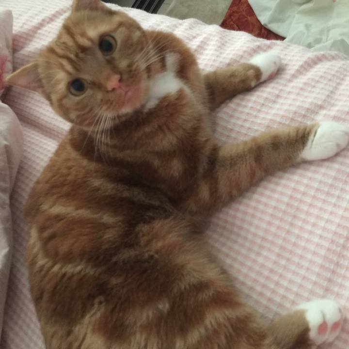 Dea54a10 8e3f 49e3 b03e 47cd03f36764 1527298016381