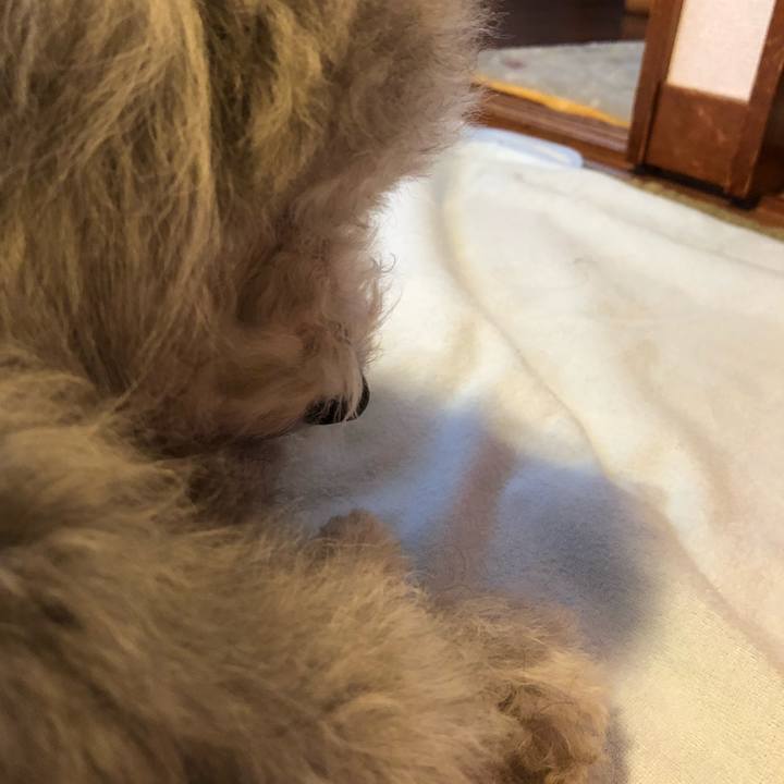 Dea5642b 31d7 4e6e 8616 075f6df167b9 1521414455909