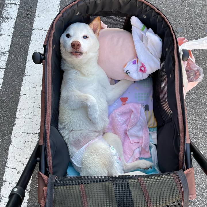 Dea59c35 185b 4b19 9bb5 8787a471d5a3 1665658258878