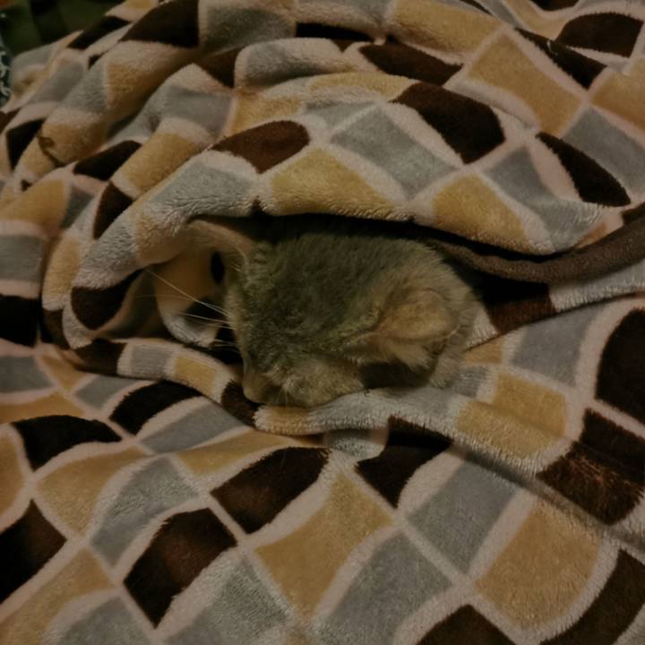 Dea5a920 98a6 4898 bb1b 3764f01026cc 1645371619876