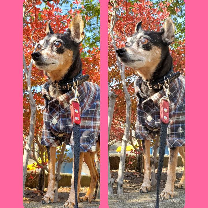 Dea5f333 a30d 44e9 bf09 9fc5abea0f81 1668853245937