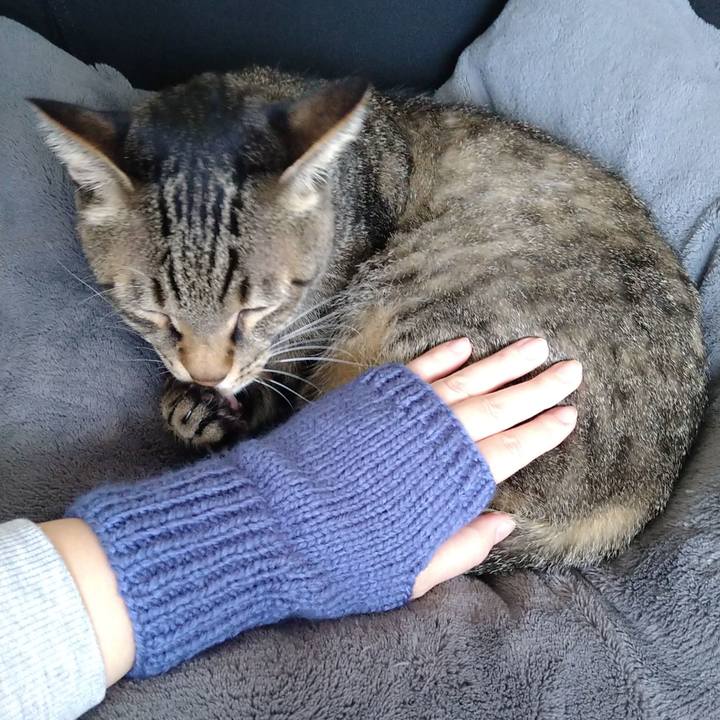 Dea61c7a 9d26 46d7 bb32 f8a66719f748 1666492001684