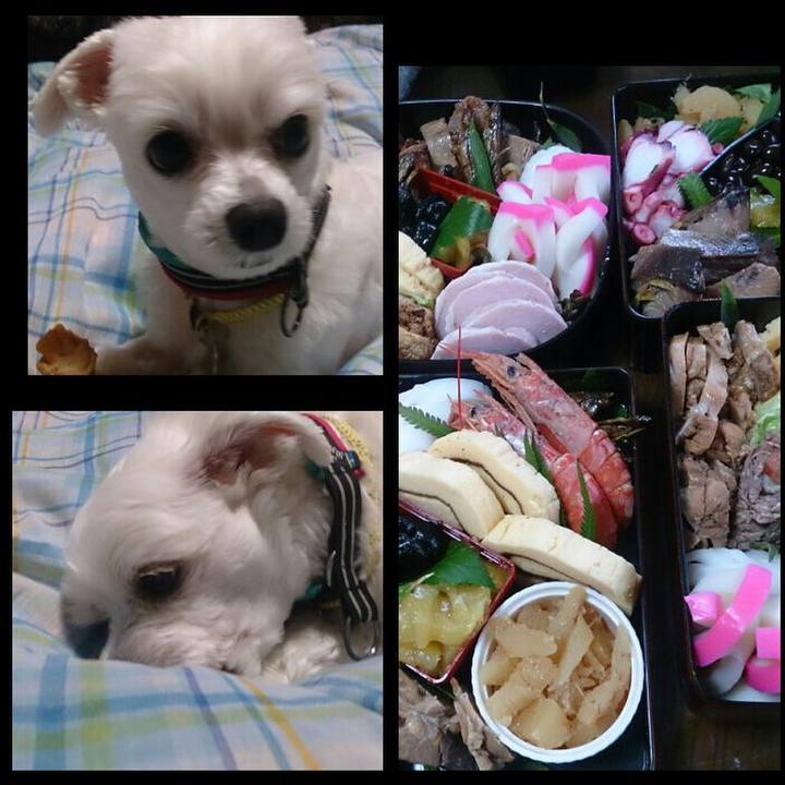 Dea66f48 89d2 4e63 8b63 a2e8412e5b87 1514718811095