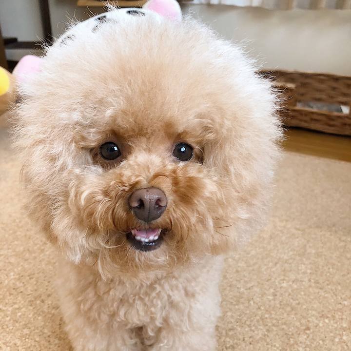 Dea674a2 c60c 44d3 b688 9554d2ffe507 1533699733839