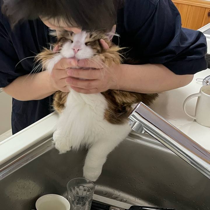 Dea67d88 9bf2 46f9 8a2f c82b0276aeff 1666821808905