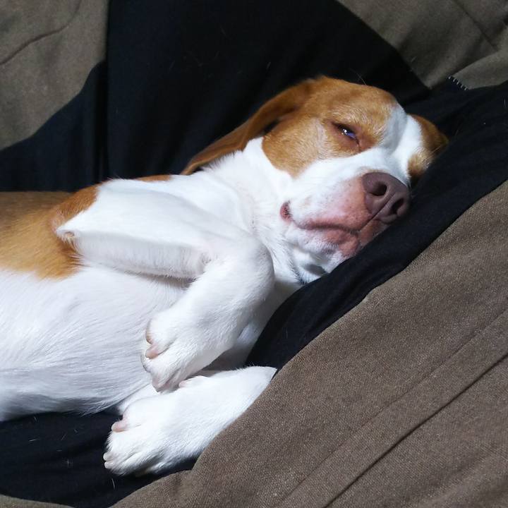 Dea682f7 b5af 4b60 a047 eb2aeaea5c84 1601644805635