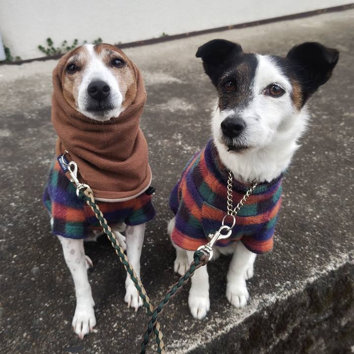 Dea68c01 a511 450c b252 ce84474bd675 1773009627354