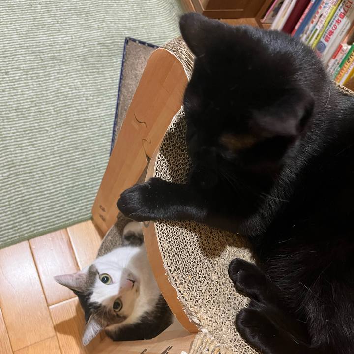 Dea6aeb9 3ac7 411b 82ef 262d471d85f7 1714110951924