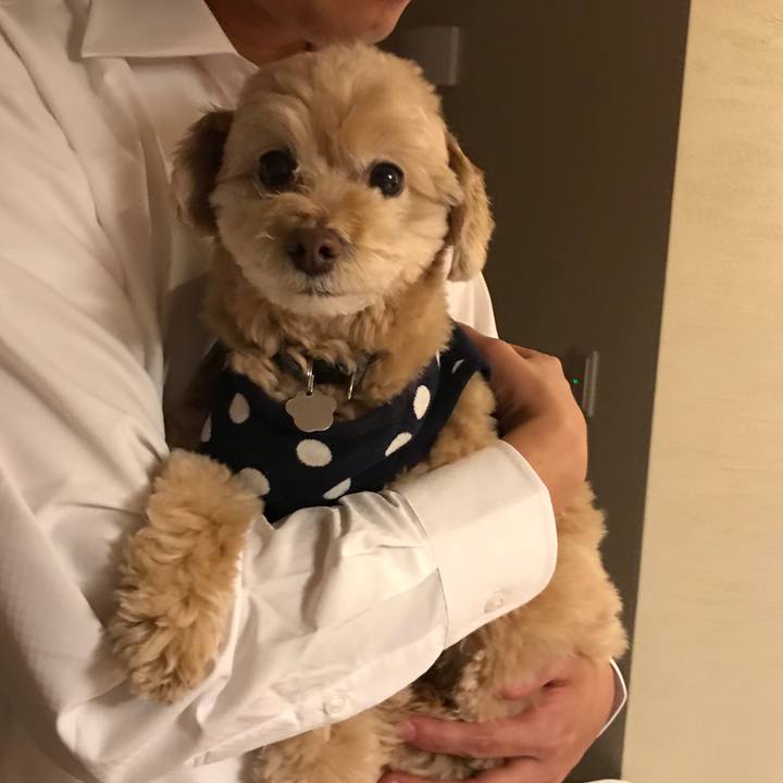 Dea72763 4eb4 40b6 9eb3 f3b7153d5fd1 1553130431224