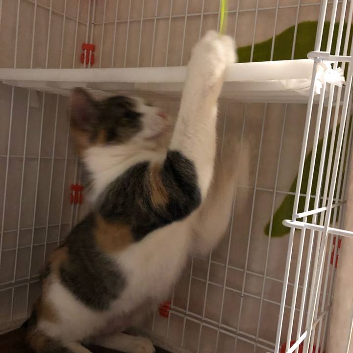 Dea7a57f 8d7f 453e a419 da97767b8f73 1573924983788