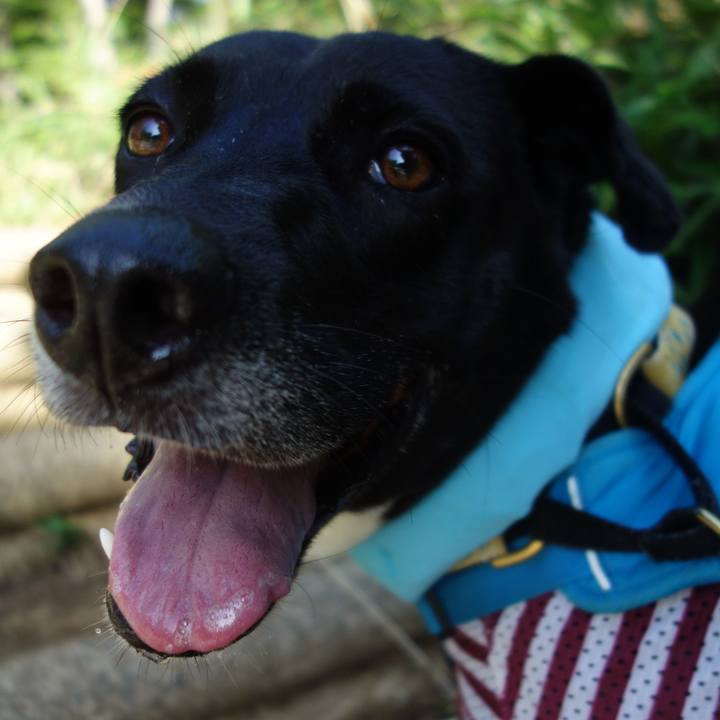 Dea7cc6f 6546 439c 9984 ef591c786cd5 1628034748685