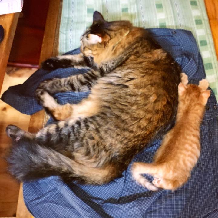 Dea7e34f bc62 4789 b92a 80e3e210f880 1619416185121