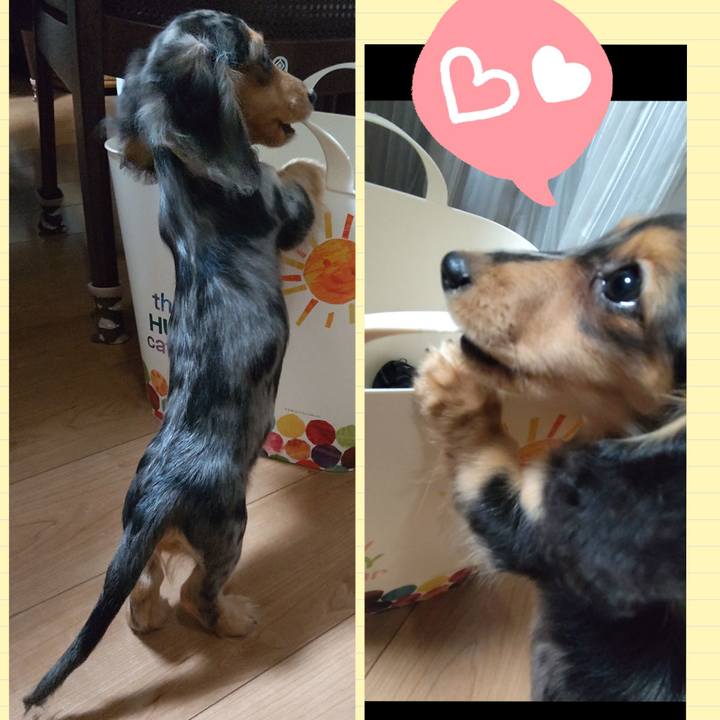 Dea7ec78 6857 439a 8217 eebfae820dbf 1697513124920