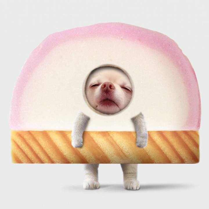 Dea7f484 657d 4118 bfd3 18ed49c7f564 1734151846498