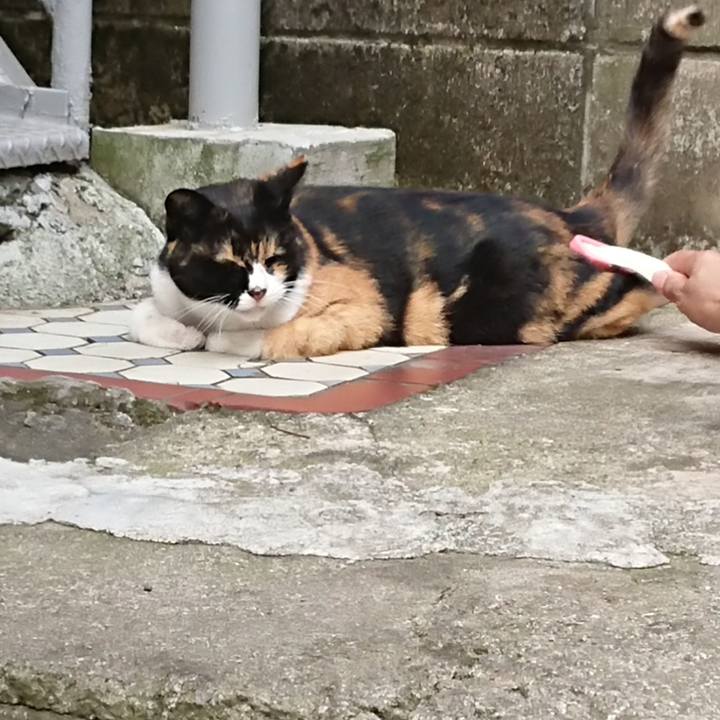 Dea897ea 4dc9 44bd ace6 9d2f7759db38 1691726008152