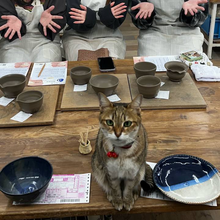 Dea8a184 918f 4e8c ab0d f91c95656d4b 1765947773994