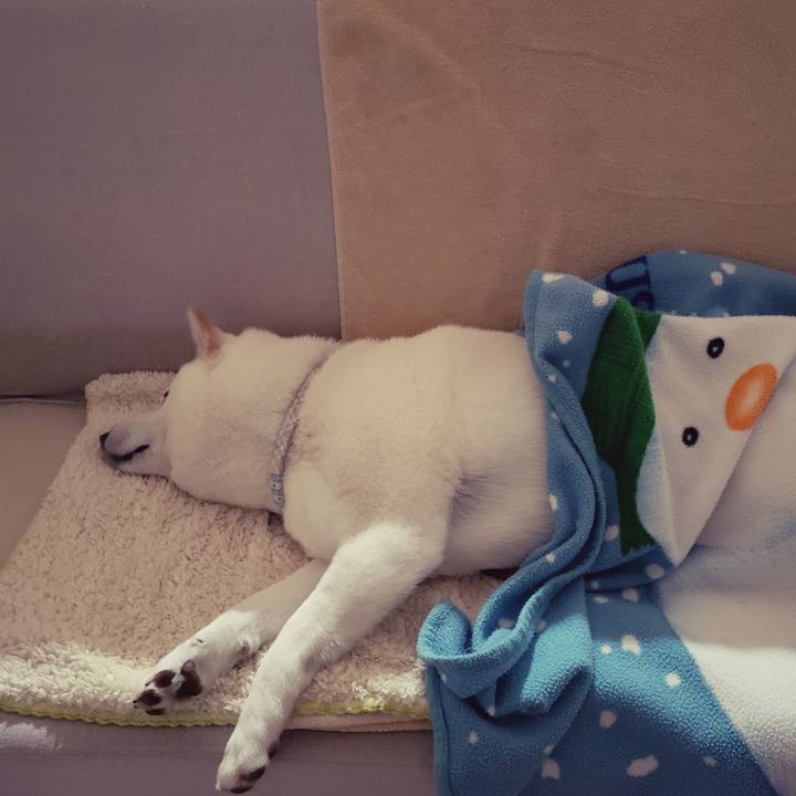 Dea8a3d6 1d27 4111 86ca 61981b6d4eed 1550064201802