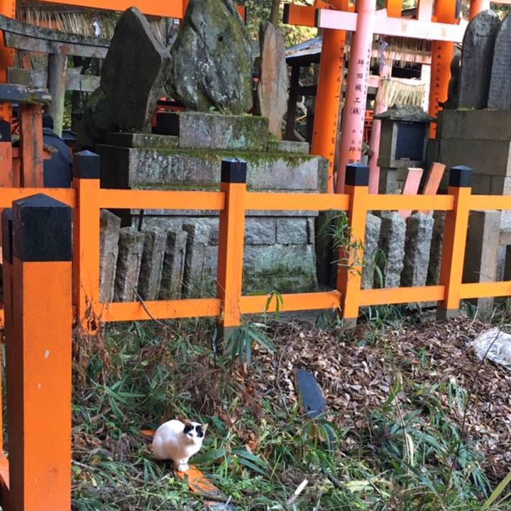 Dea8a61f 9924 4e92 bb8e 4cfcb953a12b 1515033736172