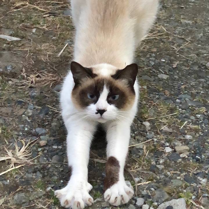 Dea8b02f cbea 48aa 8cb1 68fa1cb60cf9 1516028766801