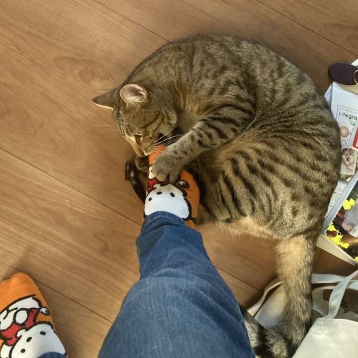 Dea8b432 3aee 4e4a b19d 103b99a67cee 1602941152803