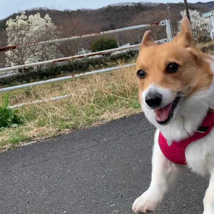 Dea8c4c7 123a 4a21 8c9d 6b87b6fc0014 1647664404351