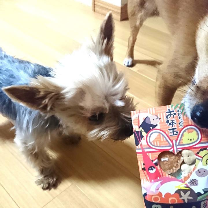 Dea8cc9f e312 41f6 9d38 705369b0a696 1547214430282