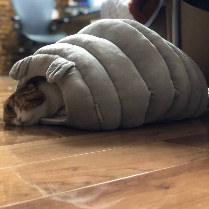 Dea8e7b1 ed01 4ba5 a0a8 4c10b5706636 1603027607887