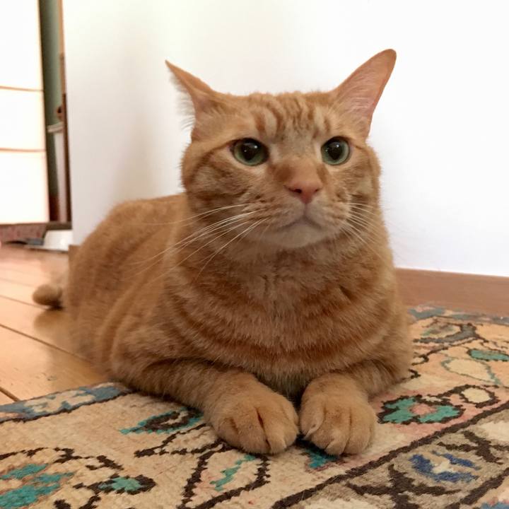 Dea90f90 4822 425a 8bde cf68f18fe579 1590467484707