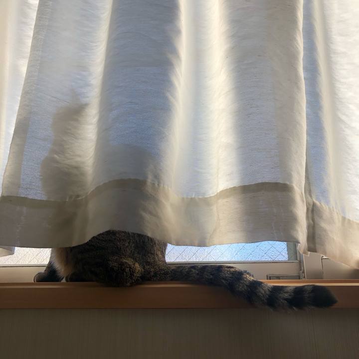 Dea9a459 fc78 4d2a 9209 4aae2d875951 1580542717459