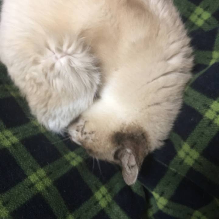 Dea9b342 ab56 47b6 bb9c edaed8718b7d 1555682645924