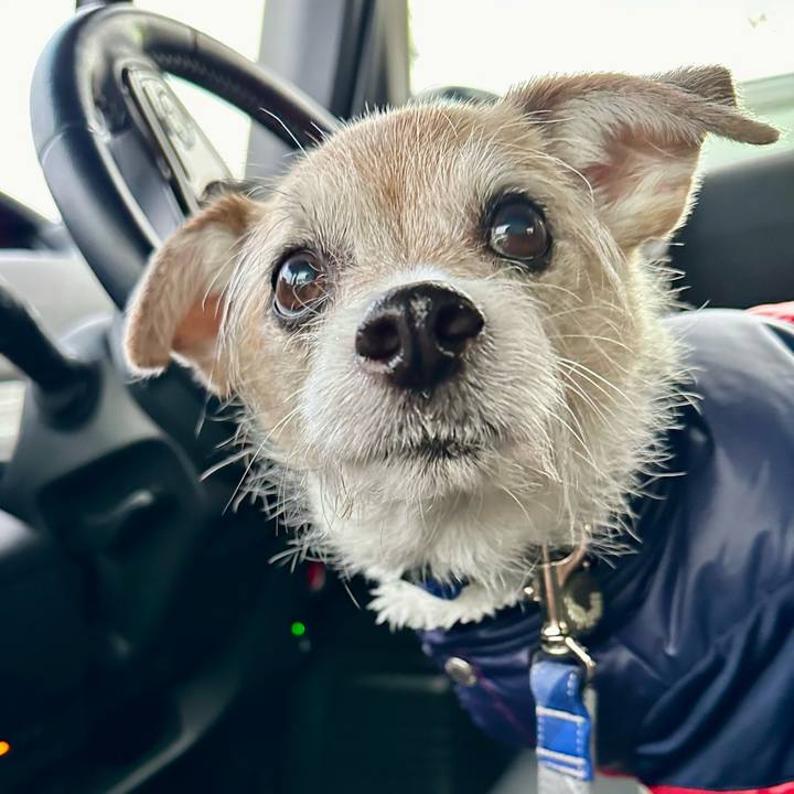 Dea9c142 bf08 4cf2 bde1 5f1d8d356a8f 1709806230142