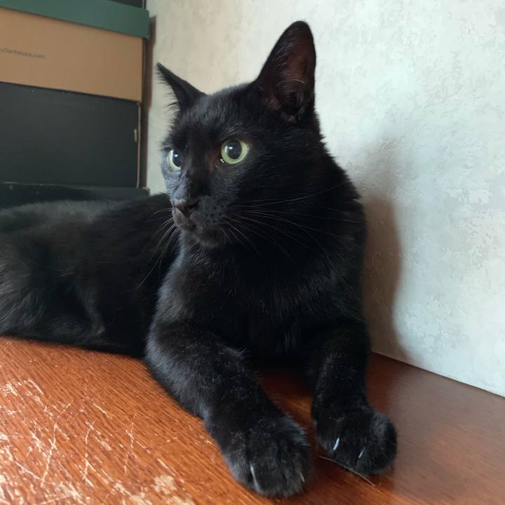 Deaa0659 9193 455e 8f66 0b7e8917edd0 1568769593078