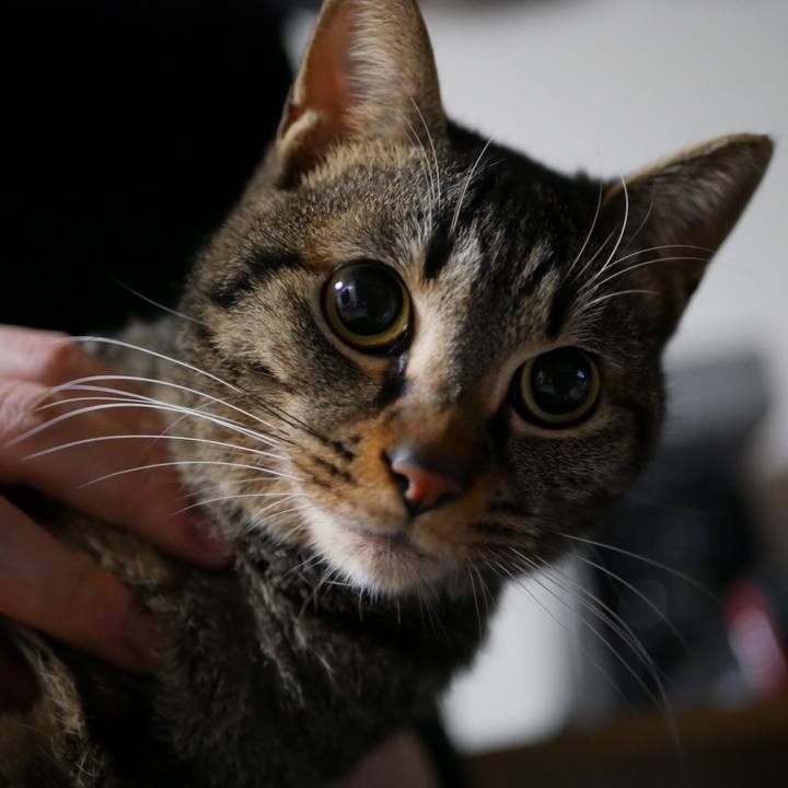 Deaa0a7e 466a 4c32 b92e cf3517fc5bb7 1518273690961