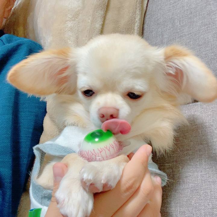 Deaa46a2 a796 4cda 8504 a3072194e76f 1634439651750