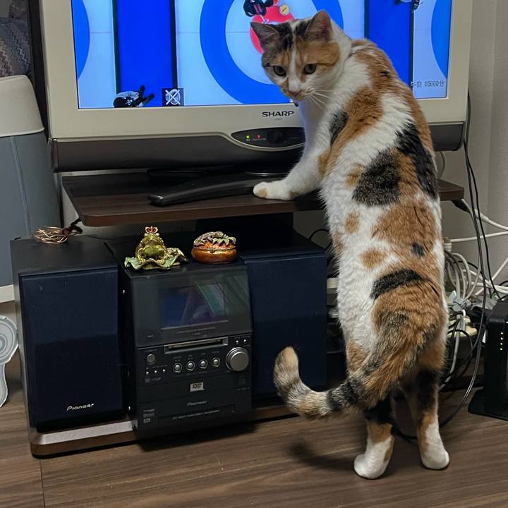 Deaa5b12 bd43 4caa 9b34 34bb9587e7b9 1644843830605