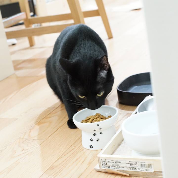 Deaa61f7 0a53 4185 9769 e0e67ac02468 1530056481761