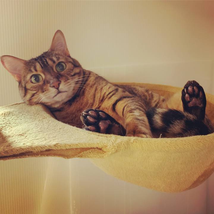 Deaa6345 09b4 49c3 ac54 d4e392d6b63e 1586469813985