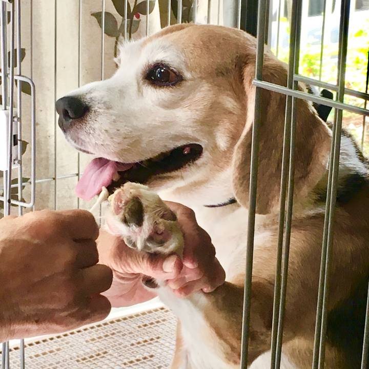 Deaa79ae f006 43da a77b b3490df3b1ff 1759660490265